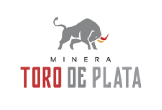 Minera Toro de Plata